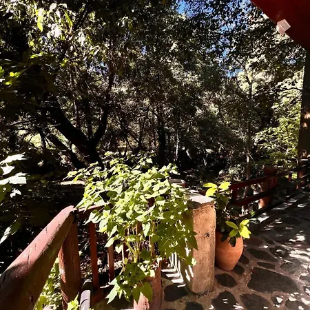 Galinicafe22-suites Kakopetriá