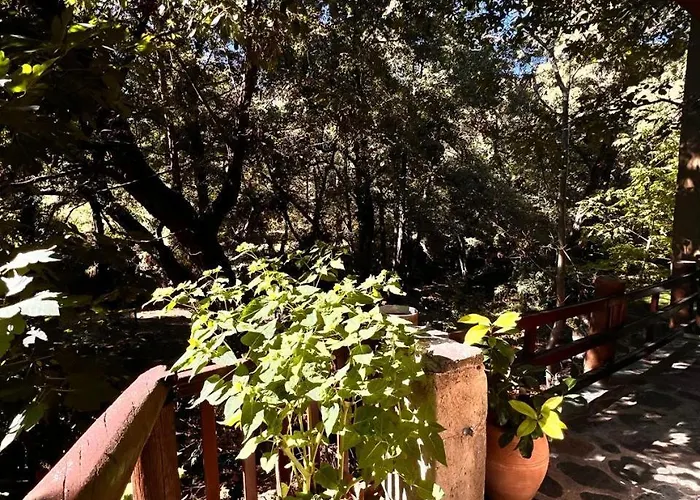 Galinicafe22-suites Kakopetria